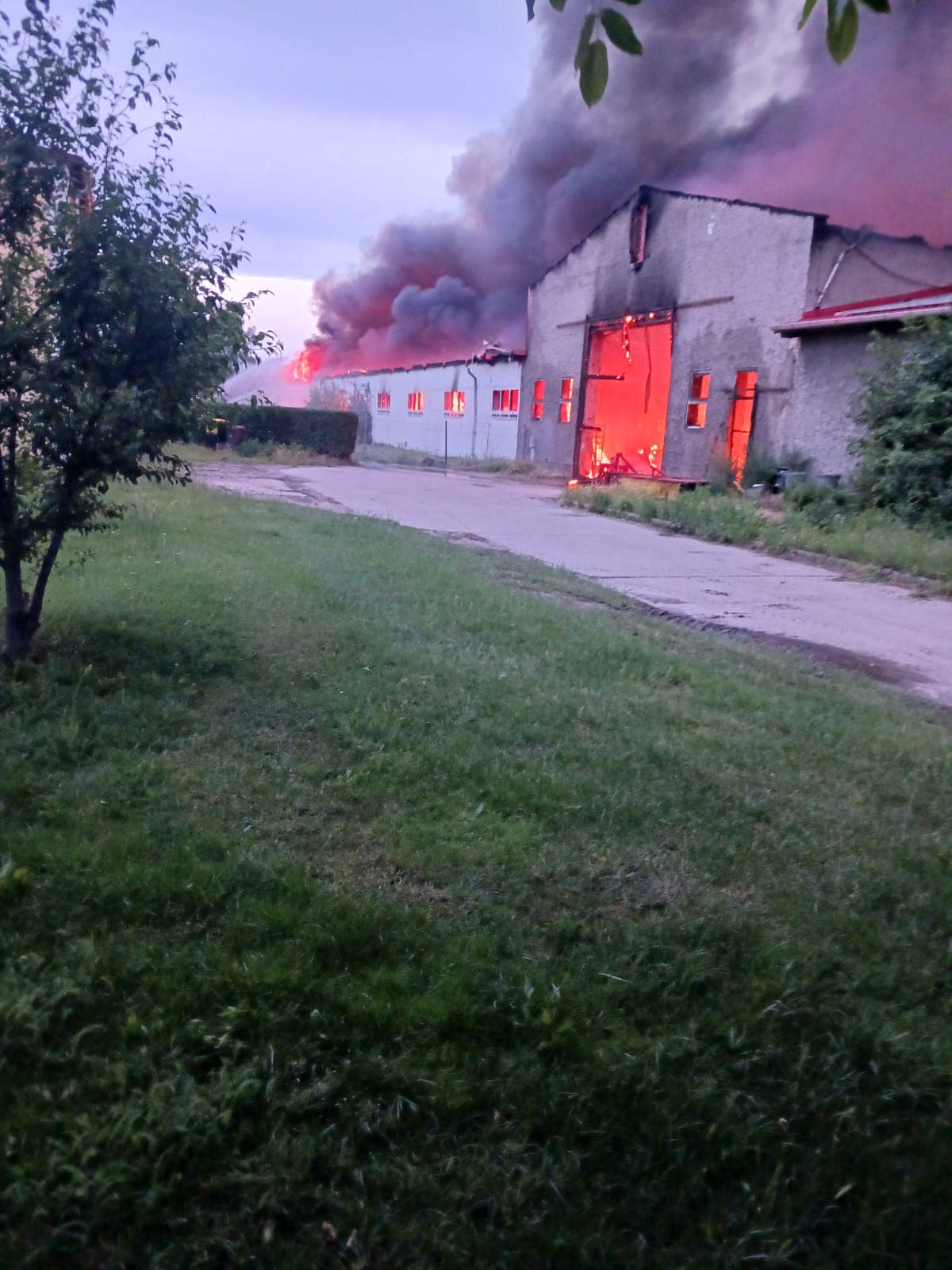 Spendenaufruf: Feuer zerstört Lagerhalle in Mölbitz (hoher Sachschaden)