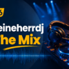 derfeineherrdj – In The Mix